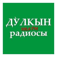 Дулкын радиосы