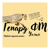 Гепард FM