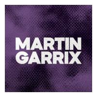 DFM Martin Garrix