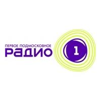 Радио 1 Шатура 105.1 FM