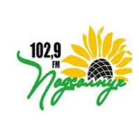 Радио Подсолнух Кореновск 102.9 FM
