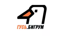 Радио ГУСЬ.Бигрум