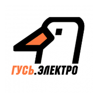 Радио ГУСЬ.Электро