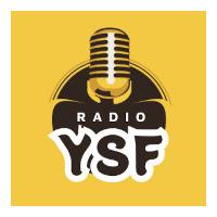Radio YSF