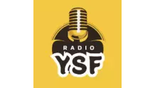 Radio YSF