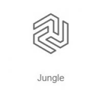 Jungle - Радио Рекорд