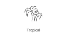 Tropical - Радио Рекорд