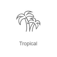 Tropical - Радио Рекорд