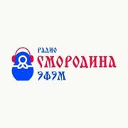Смородина эФэМ Александров 100.7 FM