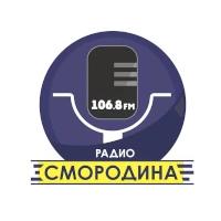 Радио Смородина Сарапул 106.8 FM
