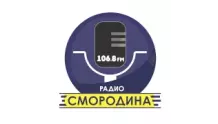 Радио Смородина Сарапул 106.8 FM