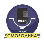 Радио Смородина Сарапул 106.8 FM