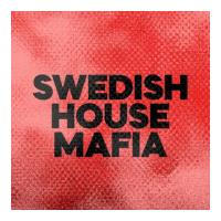 DFM Swedish House Mafia
