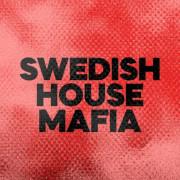 DFM Swedish House Mafia