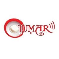 Тумар FM